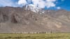 Finding My Way Back to Ladakh-and to Myself