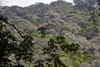 Penang National Park: A Treasure Trove of Biodiversity That Can Only Get Better