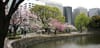 Tokyo Trippin’