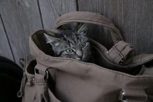 The Wisdom of Keeping An Emergency Bag