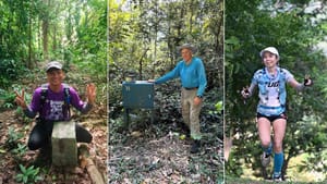 Collectibles in The Hills