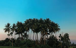 Awake in Time for a Terengganu Sunrise