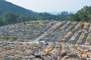 Qing Ming: Paying Respects, Renewing Ties