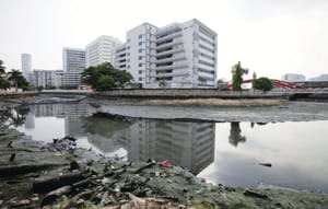 Let’s Clean Up Our Island City