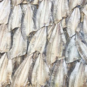 Dried Fish: A Luxury Born of Necessity
