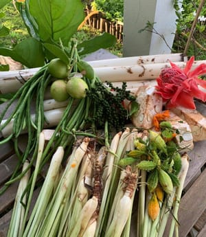 The Forest’s Table: Reviving Indigenous Knowledge for Malaysia’s Food Future