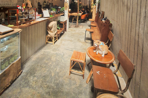 Room to Roam: How Pets Reshape Public Space