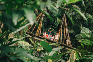 Tropical Spice Garden: A Sanctuary for Rediscovering Nature and Personal Space