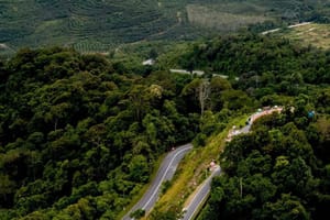 Treasures of the North: Exploring Kaki Bukit and Wang Kelian in Perlis