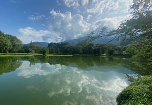 Taiping Beyond The Lake Gardens