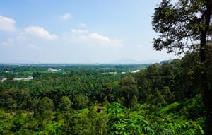 Bukit Tangga Batu: Exploring The Hilly Hinterland Of Sungai Bakap