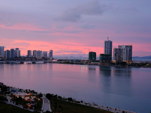 Beyond The Liveability Checklist: Views From The Social Sciences