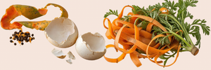 Food Waste, Household  Composting And Missing  Links In Malaysia's  Sustainability Journey